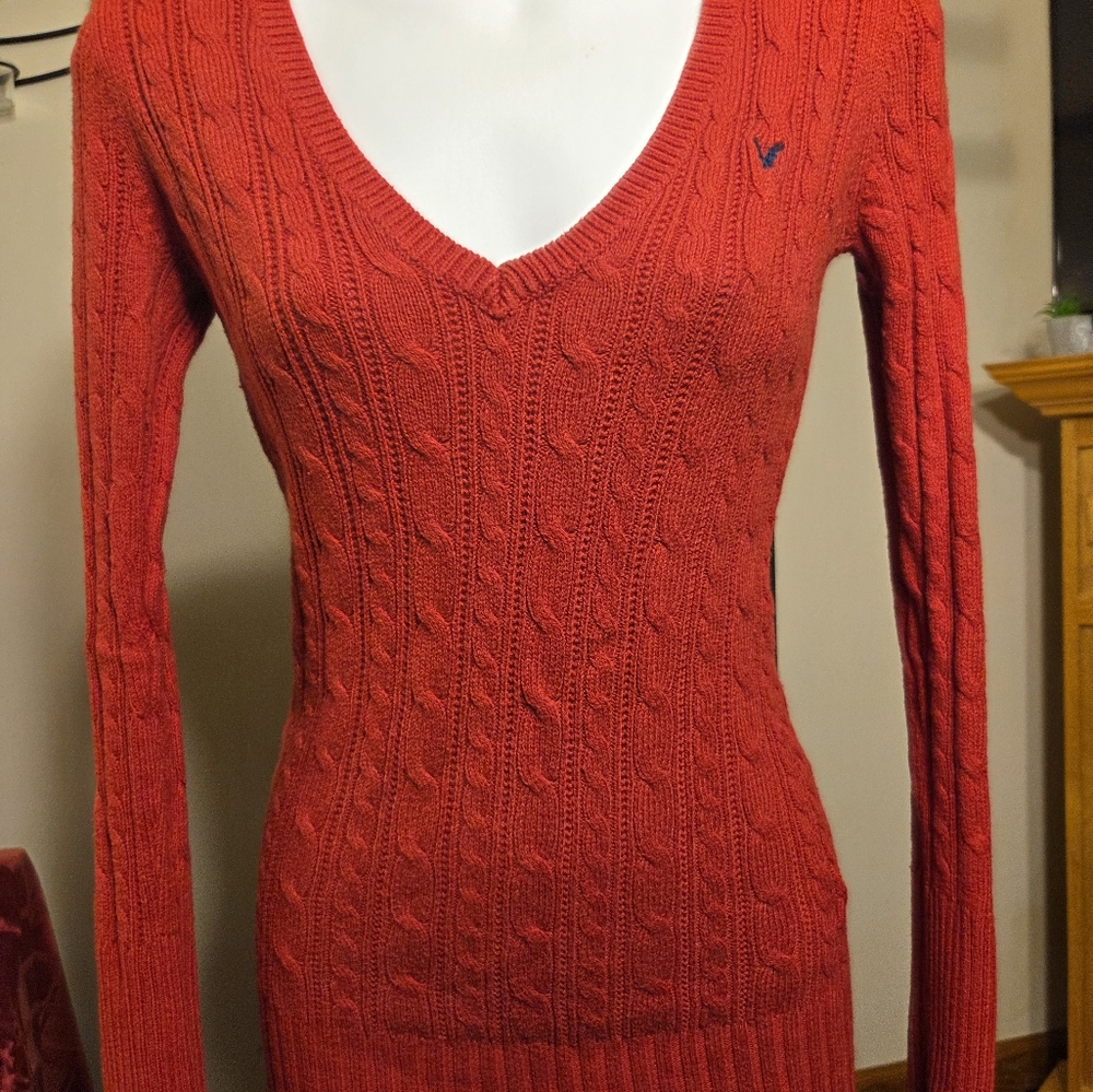 American Eagle Outfitters Red V-Neck Sweater